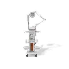 Viva Professional Beauty Facial 12-in-1 Machine for Salon, Spa, and Clinical Use - facial machine uae-sharjah - dubai - dayjour 